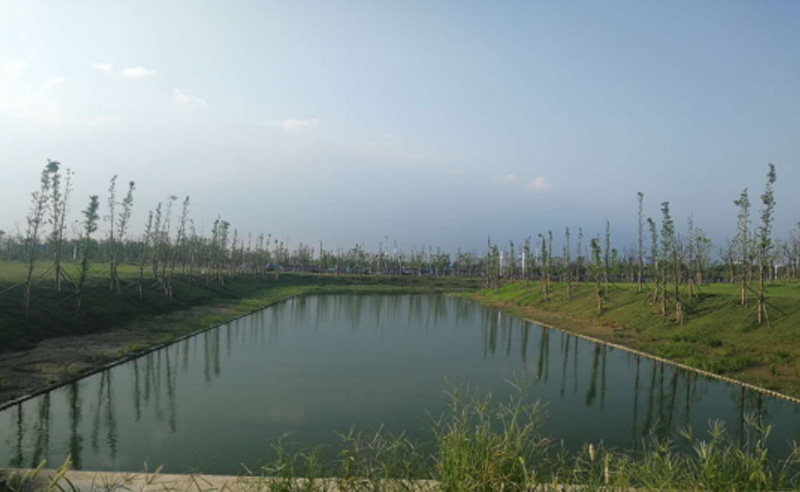 立新河河道整治工程02