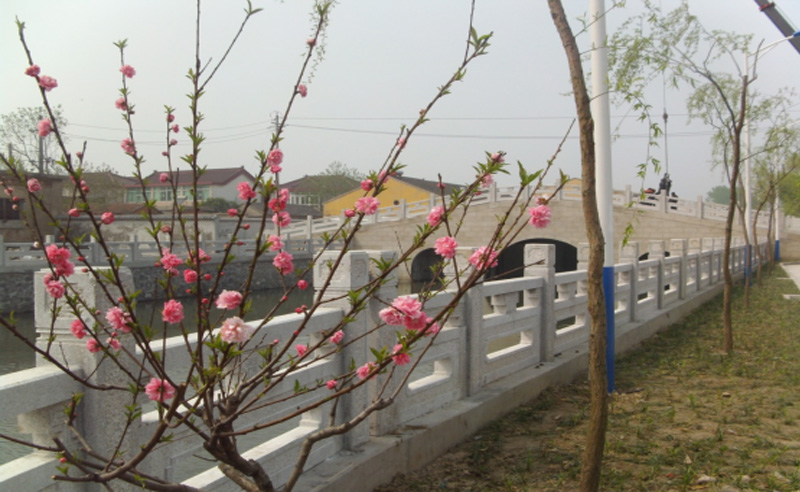 七里闸翻建工程03